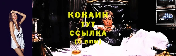 дживик Михайловск