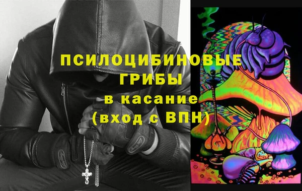 дживик Михайловск