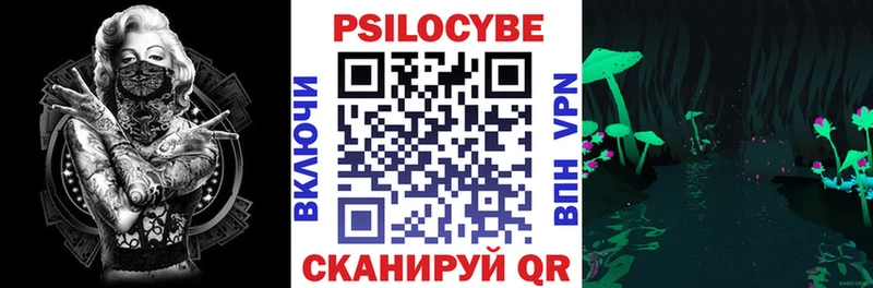 Псилоцибиновые грибы мухоморы  даркнет сайт  Димитровград 